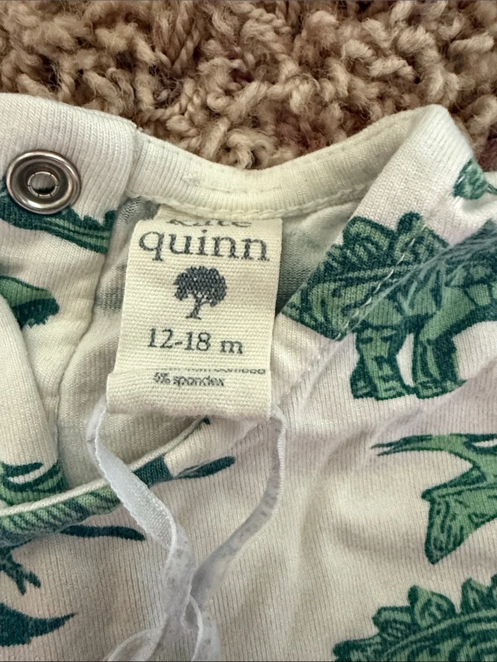 Kate Quinn Dinosaur Print Dress and Bloomers